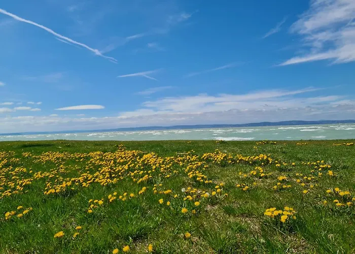 דירה Eda Galerius שיופוק