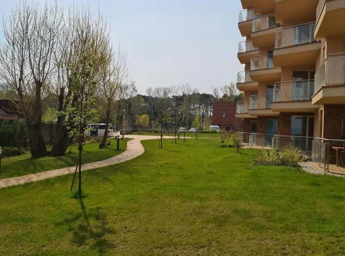 Eda Galerius שיופוק