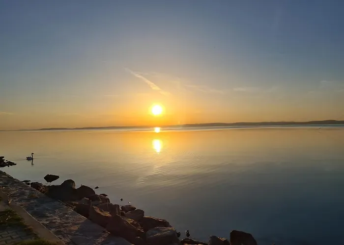 Eda Galerius שיופוק