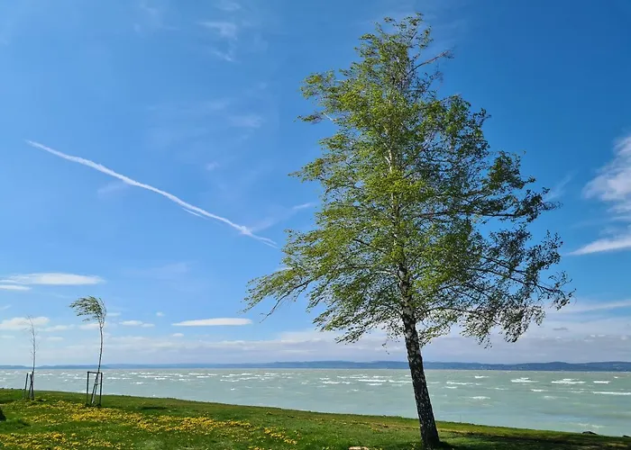 Eda Galerius דירה *