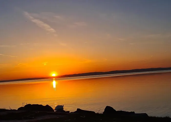 Eda Galerius שיופוק