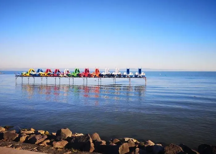 Eda Galerius שיופוק