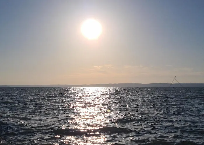 Eda Galerius * שיופוק