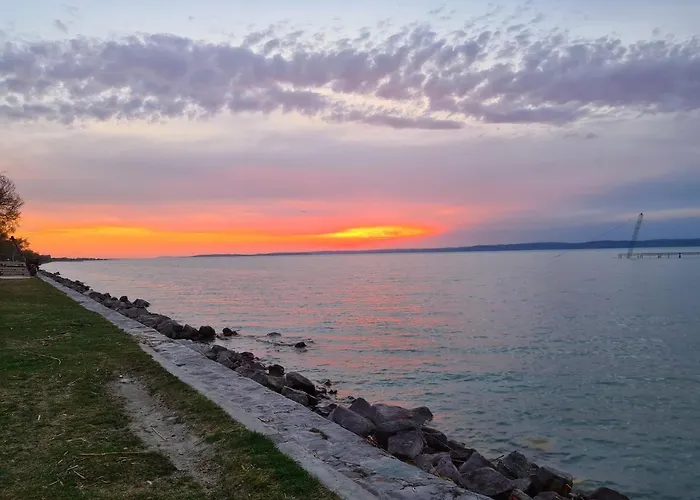 Eda Galerius שיופוק