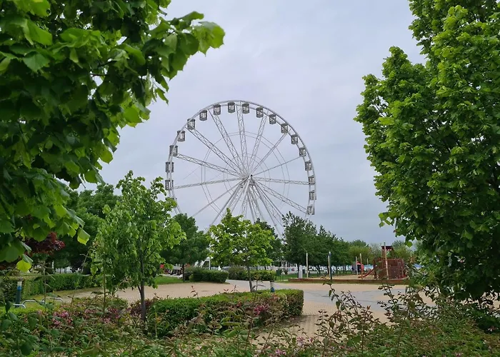 Eda Galerius * שיופוק